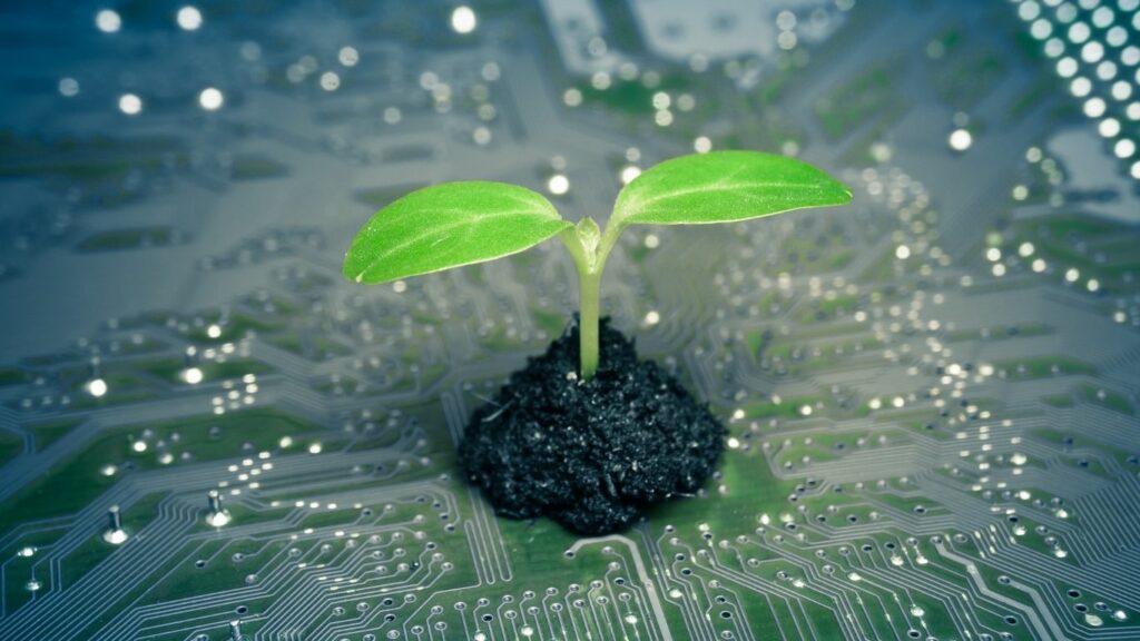 Broto verde crescendo sobre uma placa de circuito, simbolizando a adoção de práticas de TI sustentável e o conceito de green IT para alinhar tecnologia e responsabilidade ambiental.